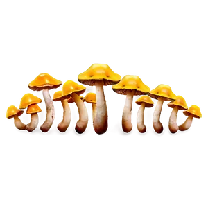 Mushroom Caps Png Nyp92 PNG image