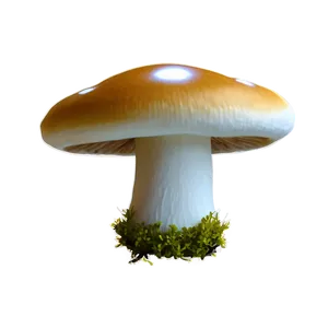 Mushroom Cartoon Figure PNG 66