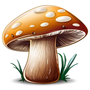 Mushroom Cartoon Illustration PNG 06272024