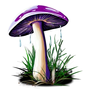 Mushroom Cartoon Set PNG 39 PNG