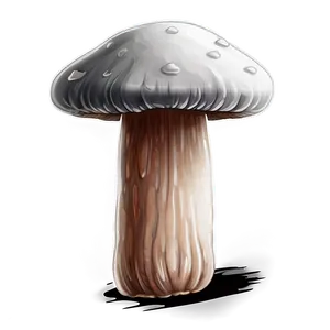 Mushroom Cartoon Sketch PNG Oir59 PNG