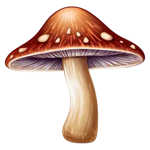 Mushroom Cartoon Style PNG Lxa