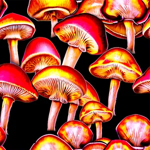 Mushroom Cluster Png Yfl7 PNG image