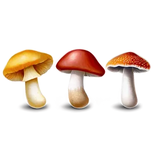 Mushroom Collection Png Djs48 PNG image