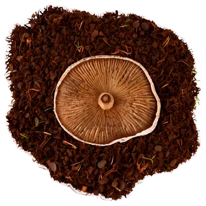 Mushroom Compost Mulch PNG Ilp81 PNG