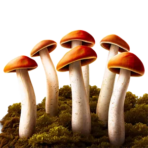 Mushroom Farm PNG Iur PNG