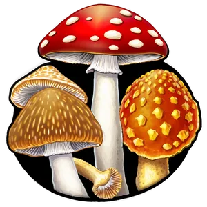 Mushroom Identification Guide Png Gwo PNG image