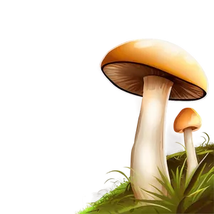 Mushroom Png Abstract Daq PNG image