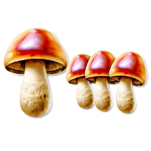 Mushroom Png Abstract Gxk45 PNG image