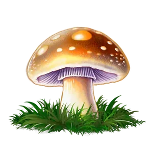 Mushroom Png Art Sxp8 PNG image