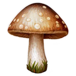 Mushroom PNG Bundle Mnw23 PNG