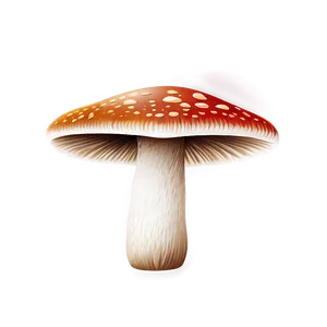 Mushroom Png Clipart 05032024 PNG image