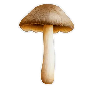 Mushroom Png Clipart 4 PNG image