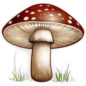 Mushroom Png Clipart Oim58 PNG image