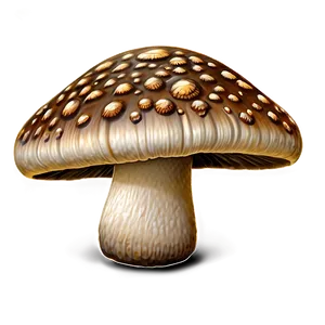 Mushroom Png Collection 05032024 PNG image