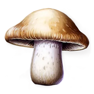 Mushroom Png Design Erp76 PNG image