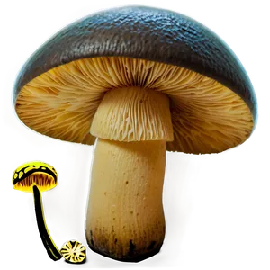 Mushroom Png File Bya PNG image