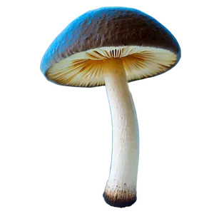 Mushroom PNG Free 05032024