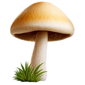 Mushroom Png Hd Egp87 PNG image