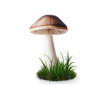 Mushroom Png Hd Hns PNG image