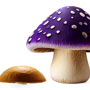 Mushroom Png Hd Khh PNG image