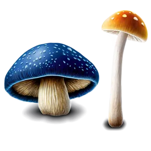 Mushroom Png Image Ikk PNG image