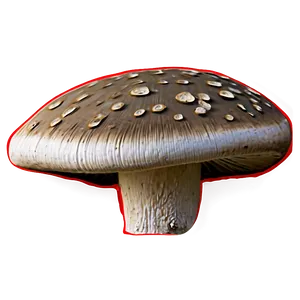 Mushroom Png Sketch 27 PNG image