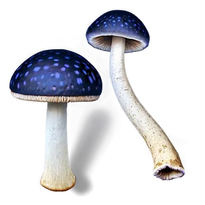 Mushroom Png Texture 84 PNG image