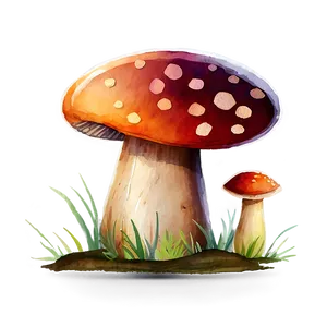 Mushroom Png Watercolor 05032024 PNG image