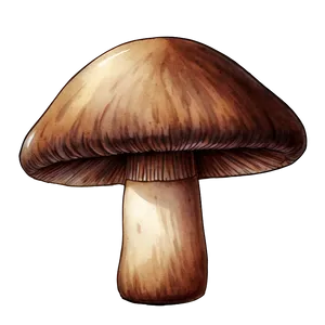 Mushroom Png Watercolor Poj PNG image