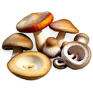 Mushroom Soup Ingredients Png 05242024 PNG image