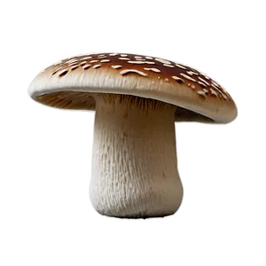 Mushroom Spores Png 05242024 PNG image