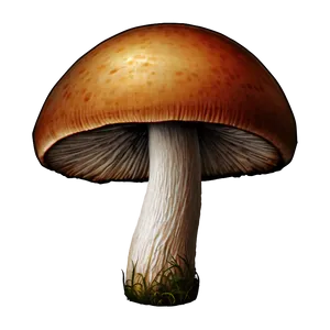 Mushroom Texture Png Joj PNG image
