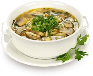 Mushroom Vegetable Soup Bowl PNG image