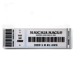 Music Festival Raffle Ticket PNG 5 PNG