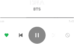Music Player Interface D N A B T S PNG image
