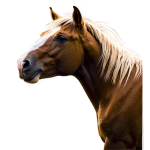 Mustang Horse A