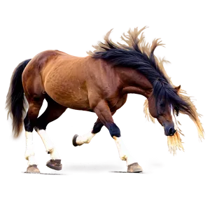 Mustang Horse B