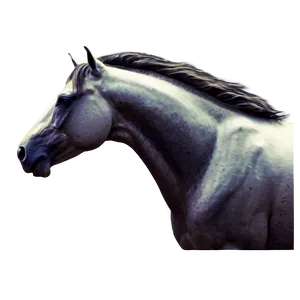 Mustang Horse C