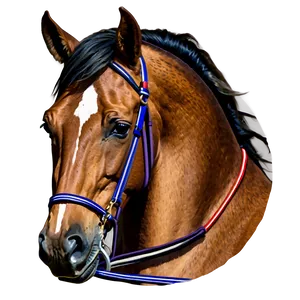 Mustang Horse Companionship Png Lel PNG image