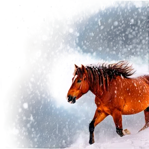 Mustang Horse In Blizzard PNG 57