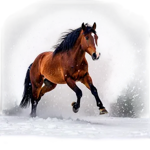 Mustang Horse In Blizzard Png Jda46 PNG image