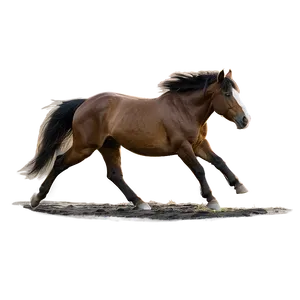 Mustang Horse In Moonlight PNG 24