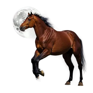 Mustang Horse In Moonlight Png Uaf47 PNG image