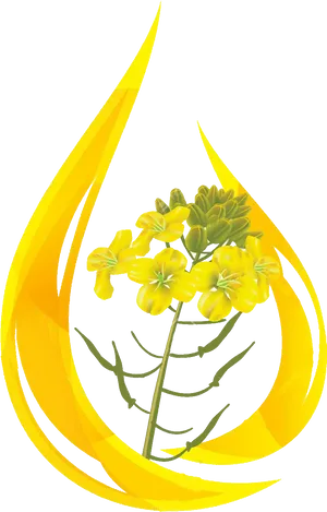Mustard Flower Flame Graphic