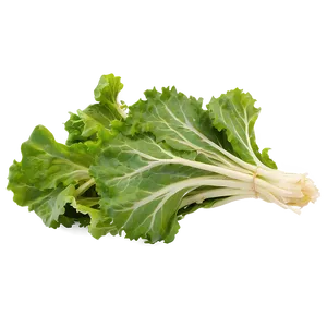 Mustard Greens PNG 05242024 PNG
