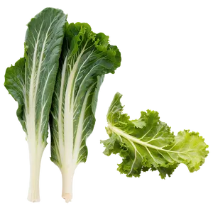 Mustard Greens PNG 05242024