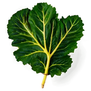 Mustard Leaves PNG 05242024 PNG