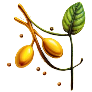 Mustard Seed Drawing PNG 05242024