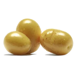 Mustard Seed Drawing PNG 38 PNG